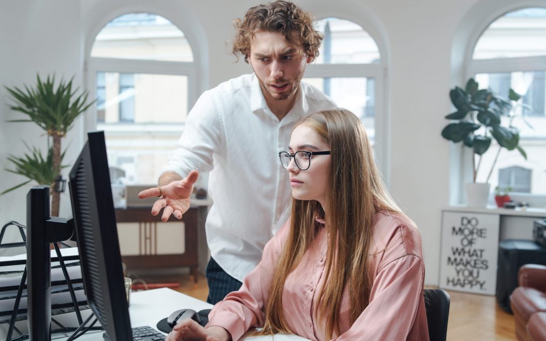 12 Mooie Divi Theme WooCommerce Webwinkels